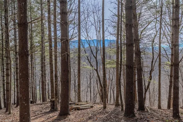 $125,000 | 8-9 Haven Ridge Path, Lansing, NC 28643