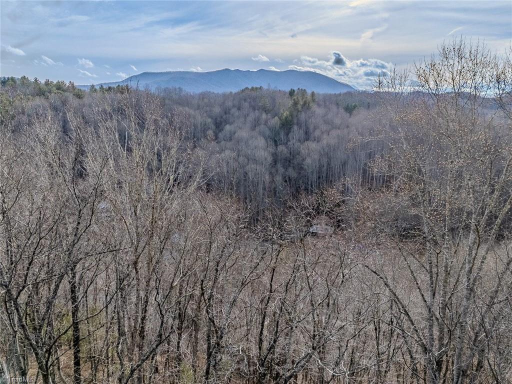 8-9 Haven Ridge Path Lansing, NC 28643 - Photo 8 of 15