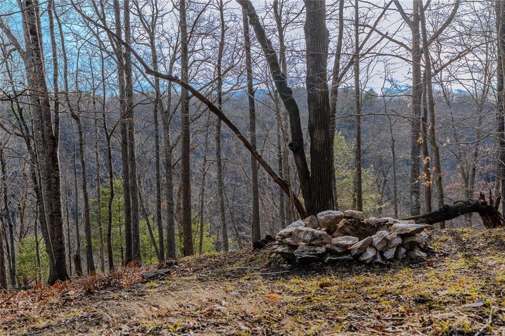 8-9 Haven Ridge Path Lansing, NC 28643 - Photo 10 of 15