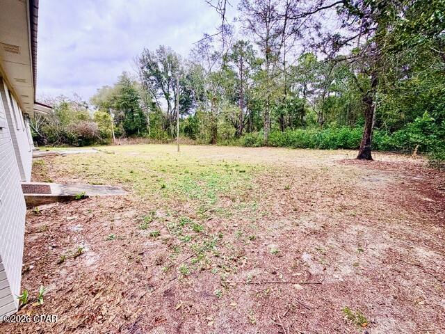 5436 Mill Creek Road Graceville, FL 32440 - Photo 18 of 19