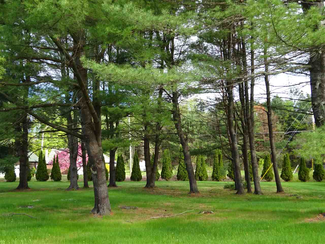 421 Eaton Road Swanzey, NH 03446 - Photo 5 of 5 Gallery Image 5