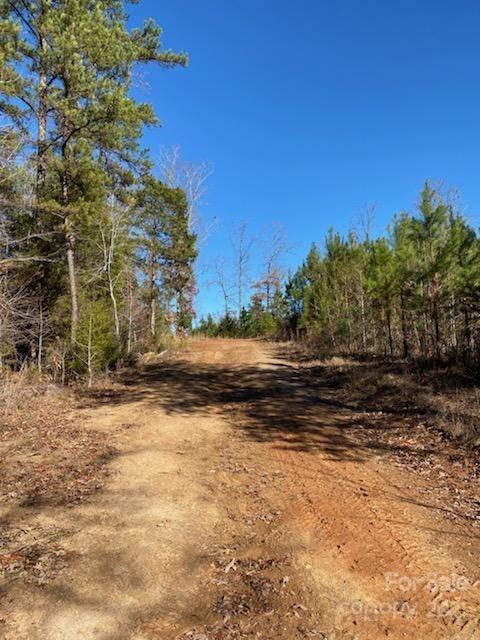 0 True Road McConnells, SC 29726 - Photo 1 of 6