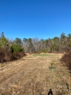0 True Road McConnells, SC 29726 - Photo 2 of 6