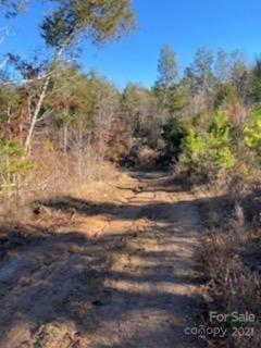 0 True Road McConnells, SC 29726 - Photo 3 of 6