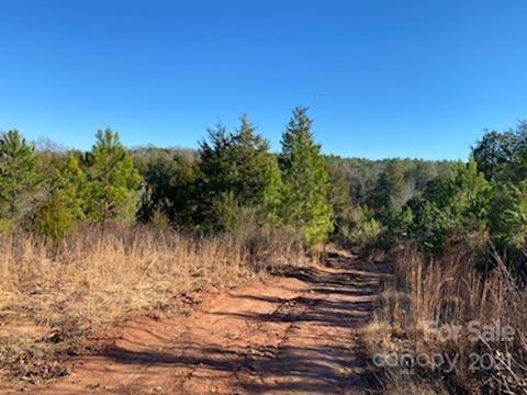 0 True Road McConnells, SC 29726 - Photo 4 of 6