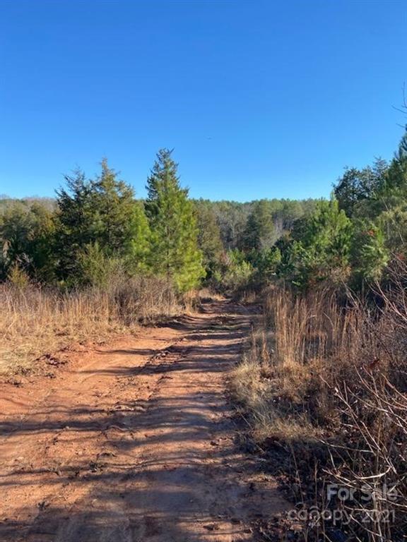 0 True Road McConnells, SC 29726 - Photo 5 of 6