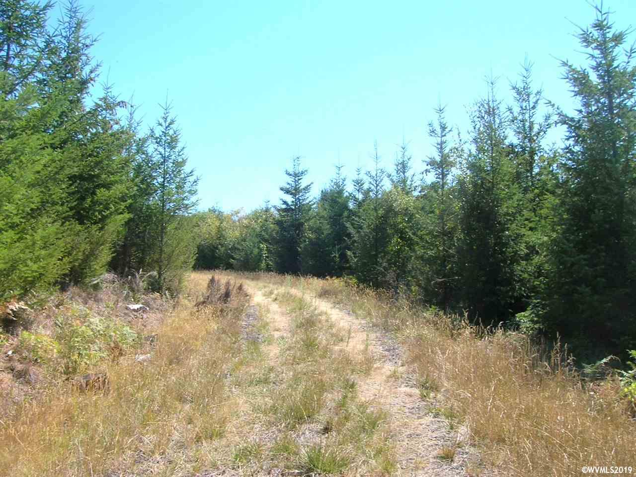 Mollenhour ( 2) Road Scappoose, OR 97056 - Photo 5 of 5
