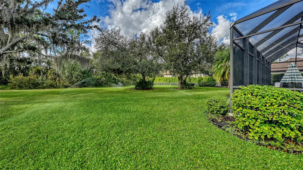 3415 162nd Avenue East Parrish, FL 34219 - Photo 44 of 49 a view of a trees with a big yard
