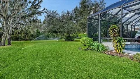 a view of green field with tree in the background