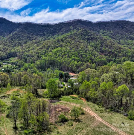 a view of a lush green hillside and a mountain