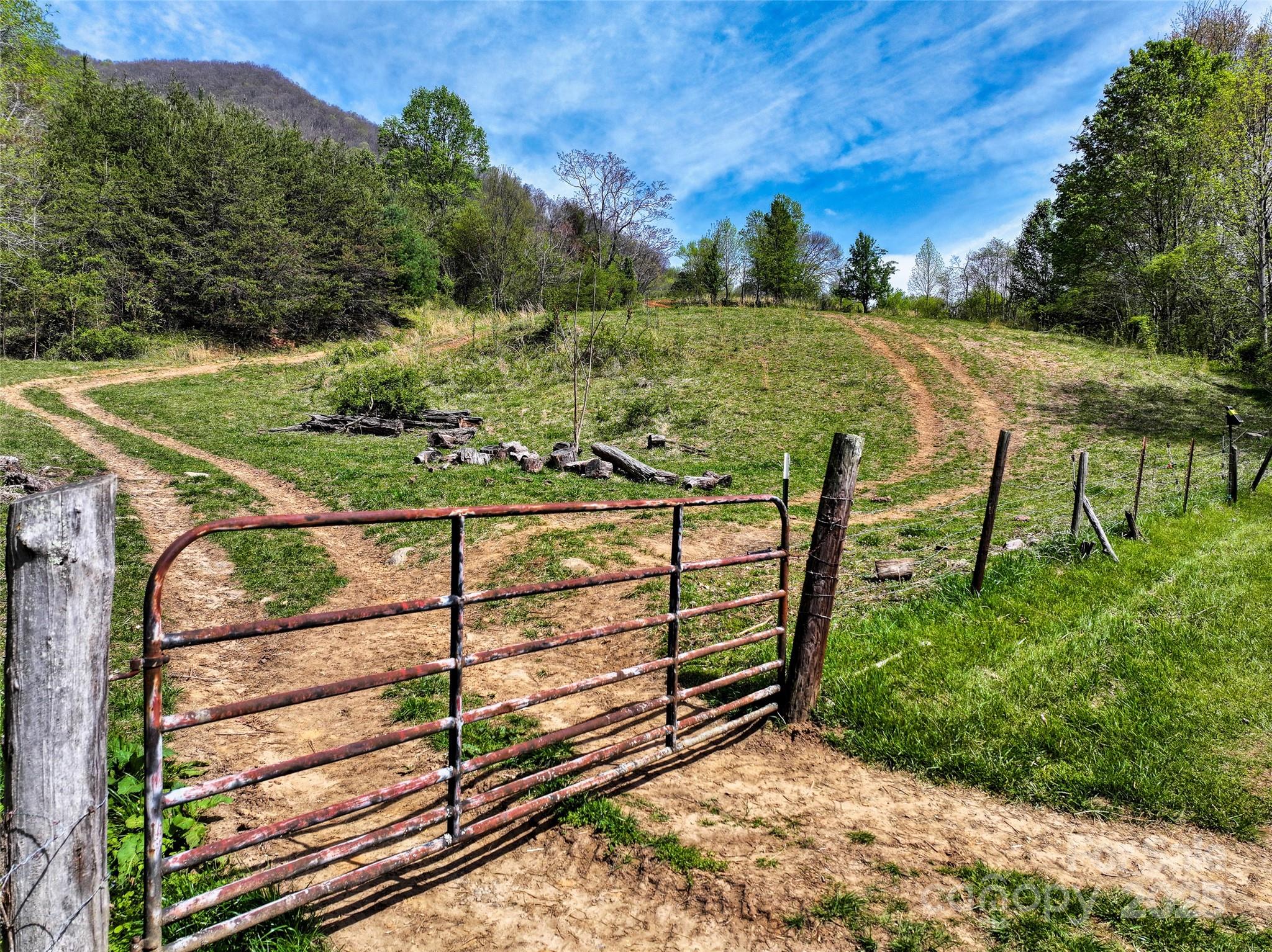 1567 Newfound Road Canton, NC 28716 - Photo 2 of 31