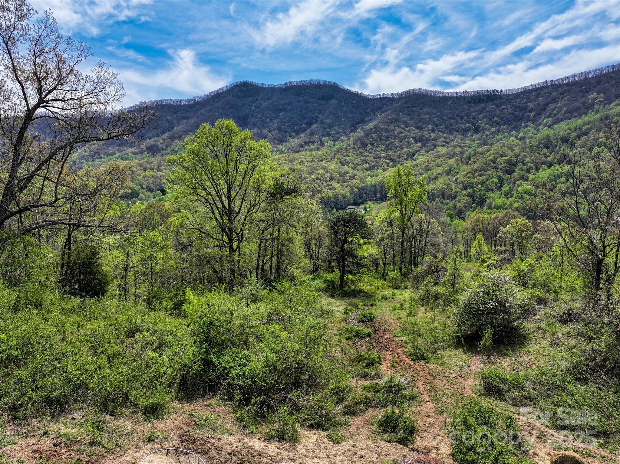 1567 Newfound Road Canton, NC 28716 - Photo 29 of 31