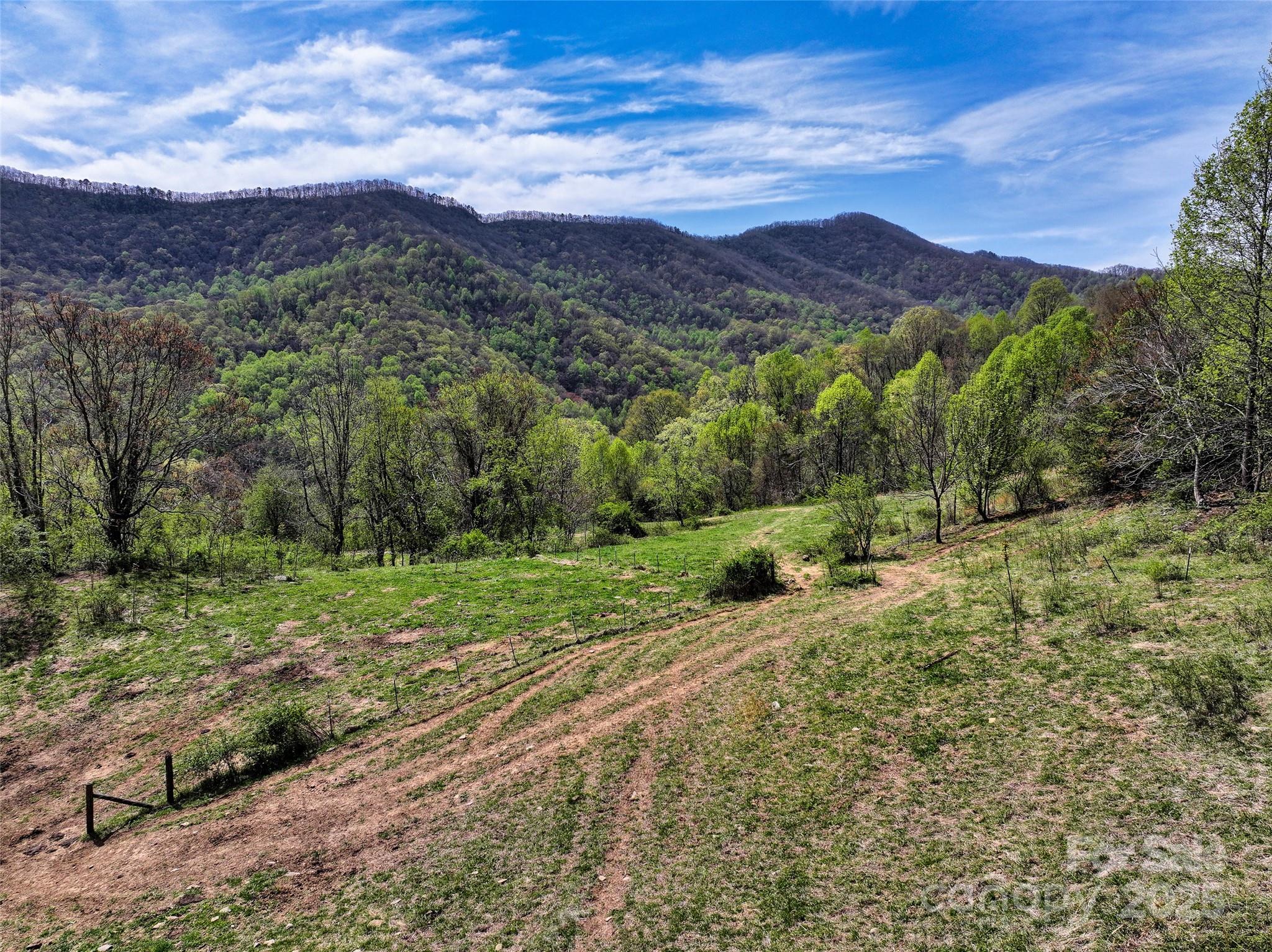 1567 Newfound Road Canton, NC 28716 - Photo 30 of 31