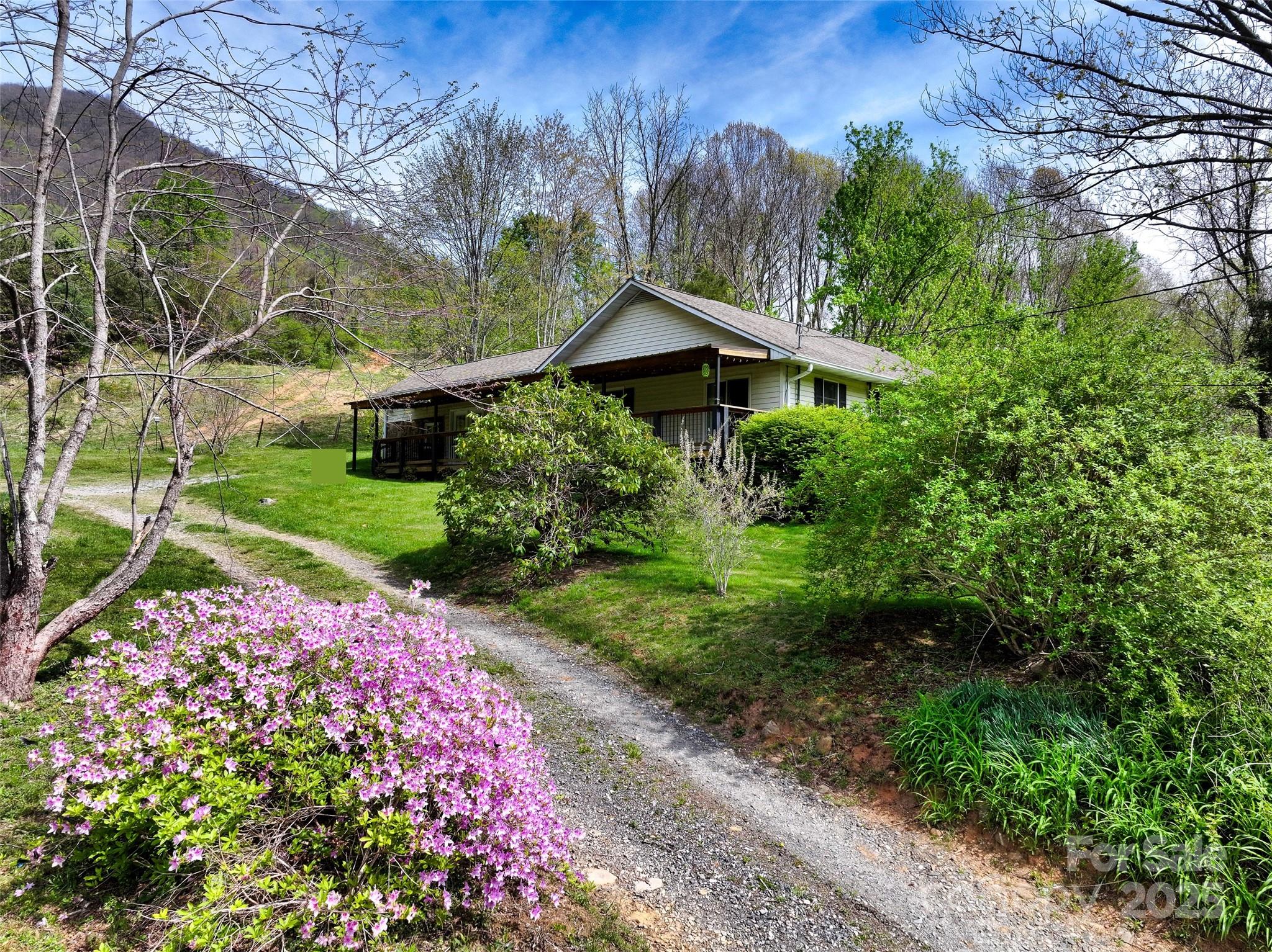 1567 Newfound Road Canton, NC 28716 - Photo 6 of 31