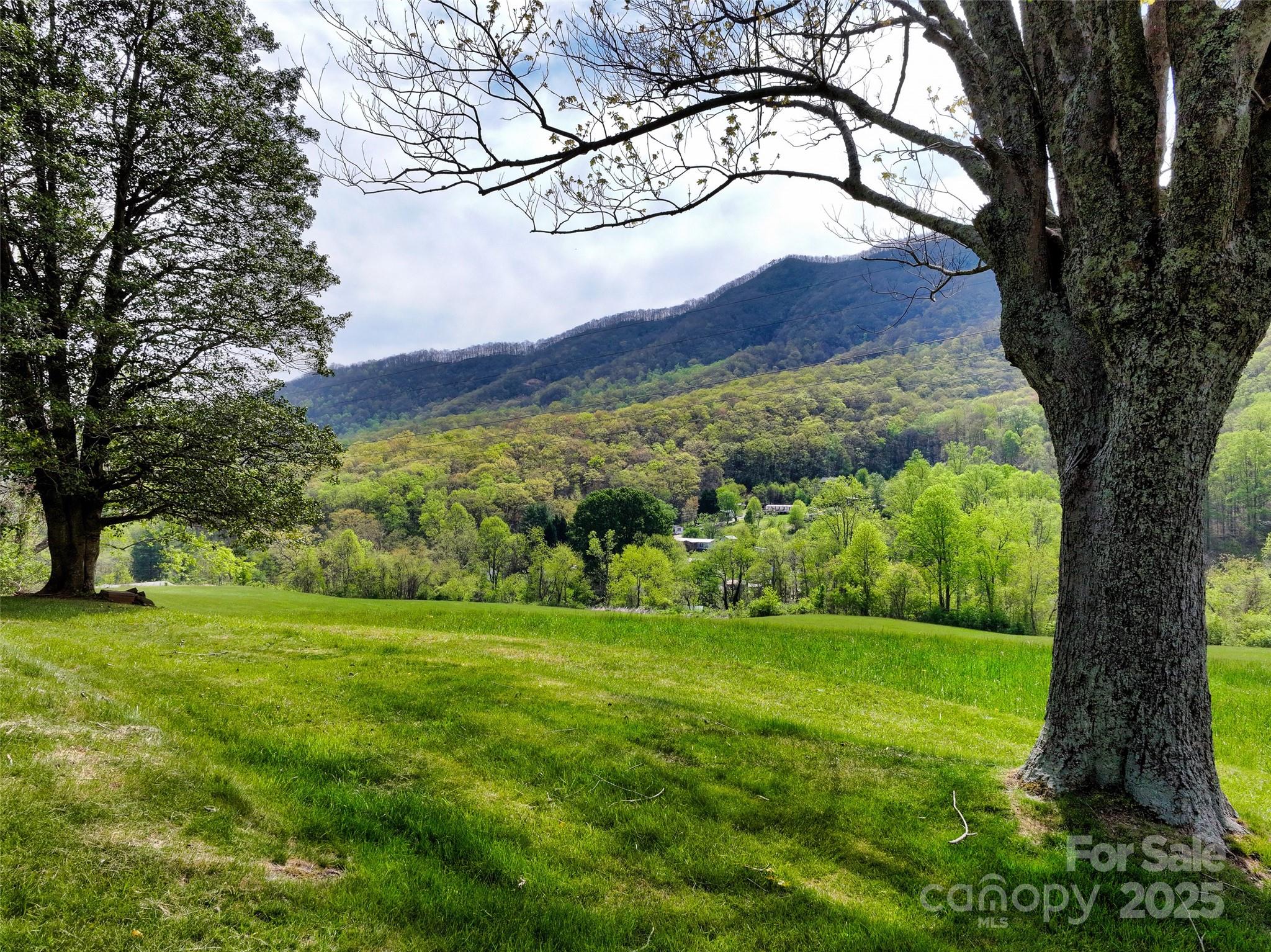 1567 Newfound Road Canton, NC 28716 - Photo 8 of 31