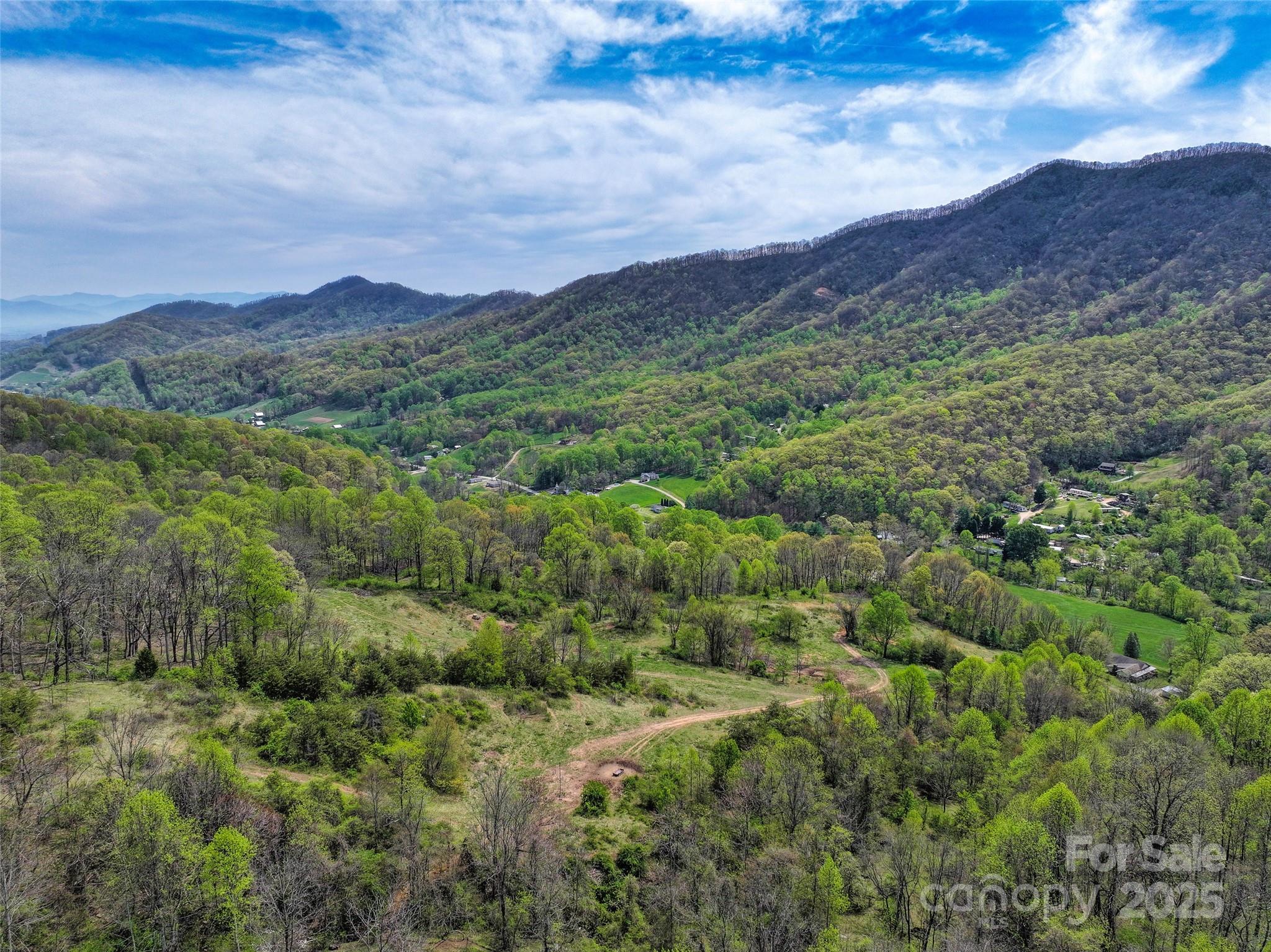 1567 Newfound Road Canton, NC 28716 - Photo 9 of 31