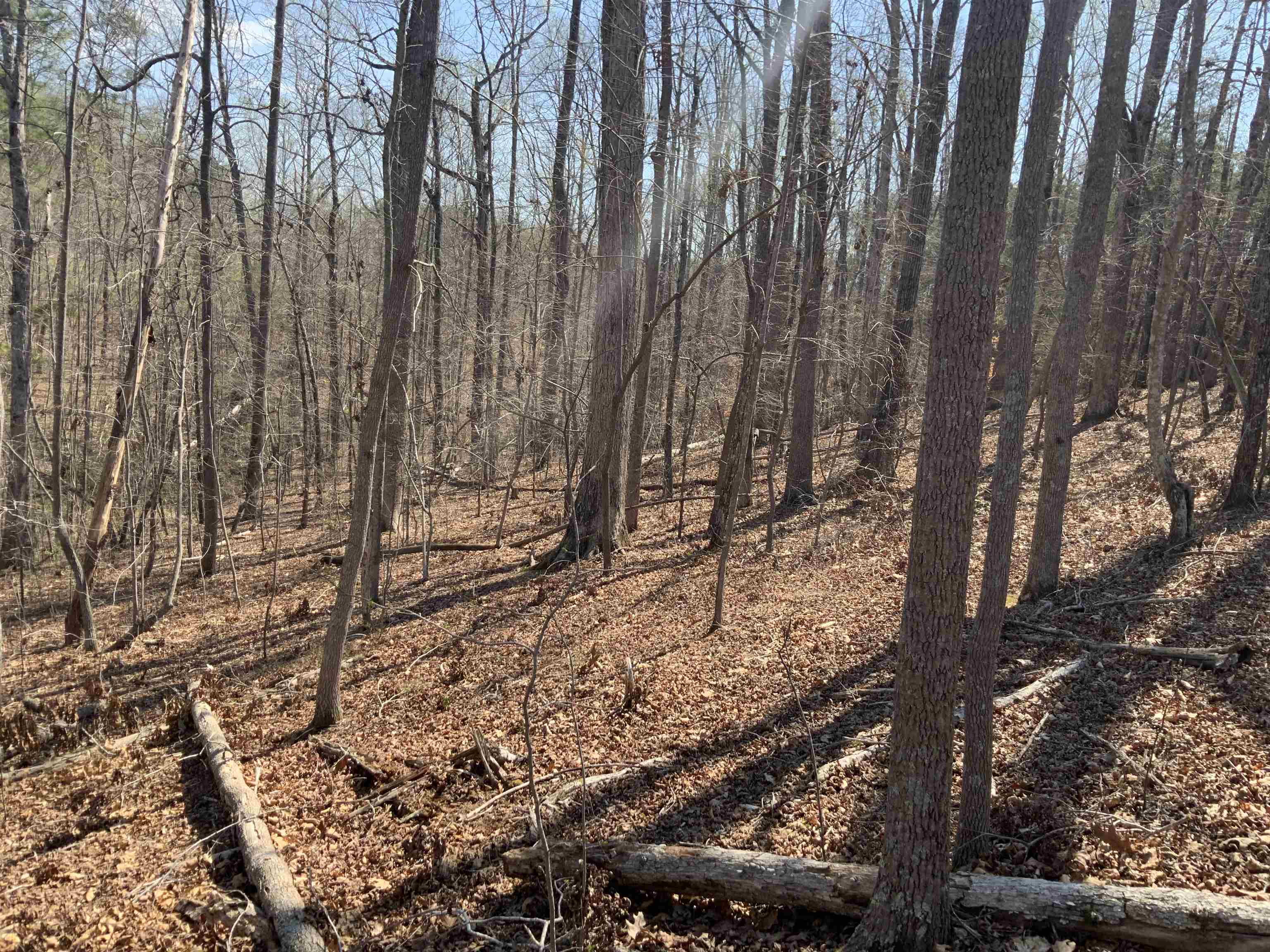 0 Wicklow Road Campobello, SC 29322 - Photo 2 of 3