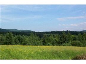 Off Diamond Pond Road Colebrook, NH 03576 - Photo 2 of 4
