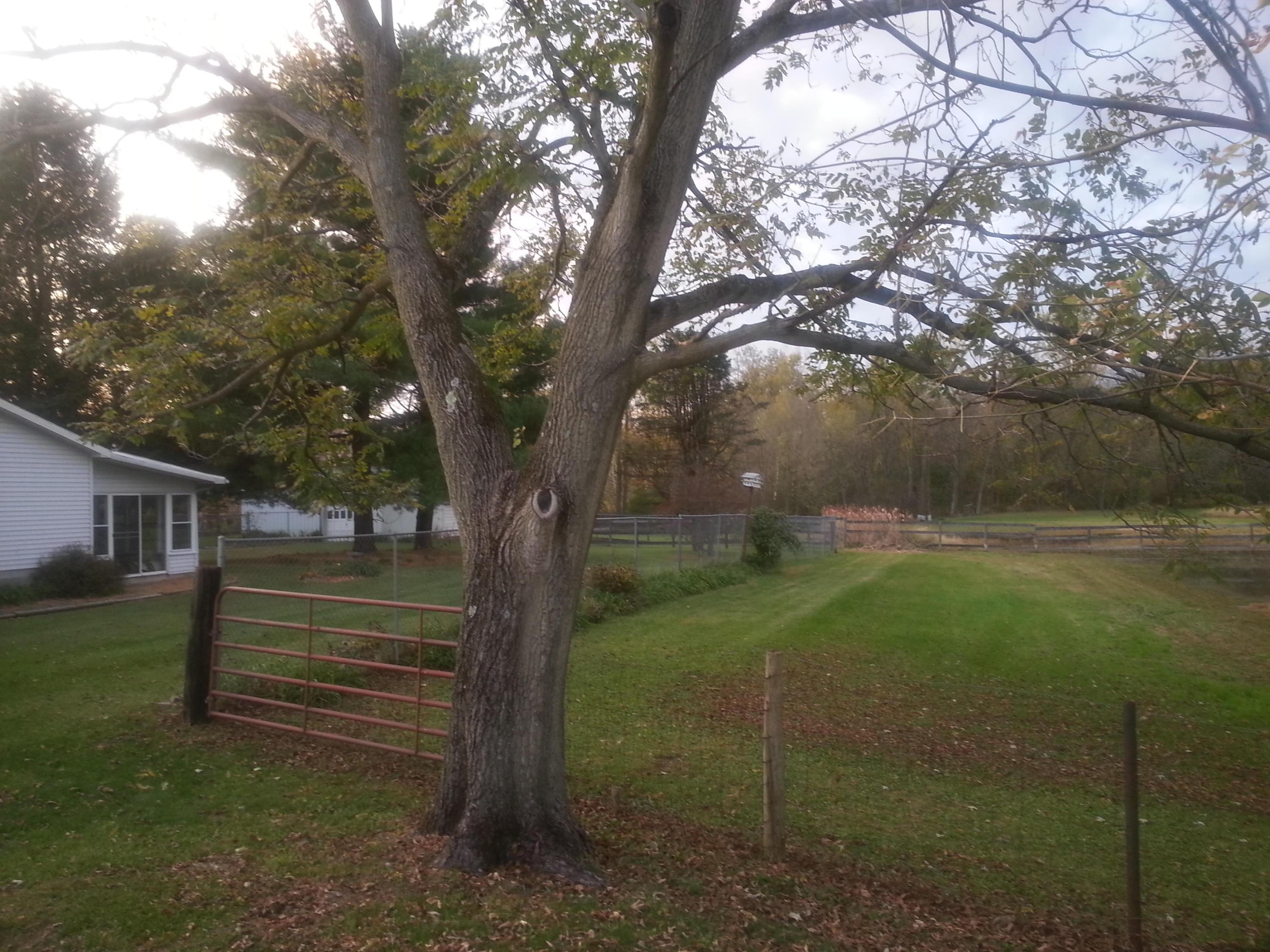 11607 Marne Road Newark, OH 43055 - Photo 44 of 48 Gallery Image 44
