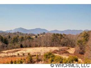 1501 Jenkins Valley Road Alexander, NC 28701 - Photo 2 of 12 Gallery Image 2