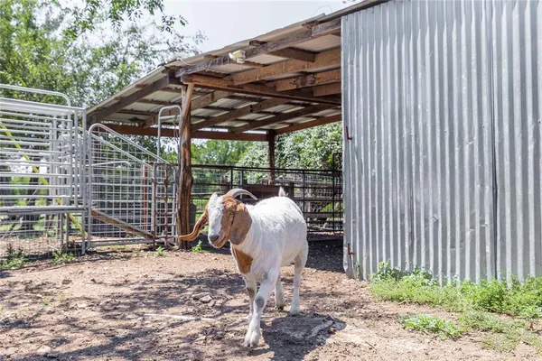a backyard of a house with barbeque oven table and chairs