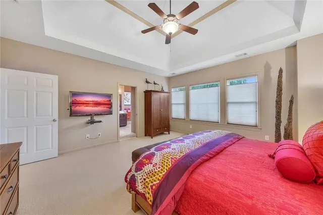 a living room with a couch and a potted plant
