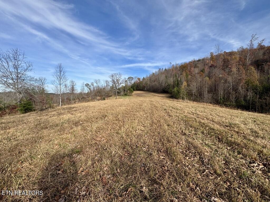 2 Three Point Road Vonore, TN 37885 - Photo 6 of 13 Gallery Image 6