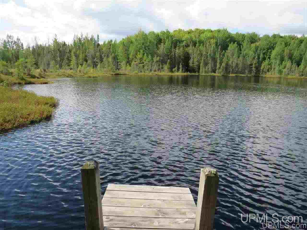 Tbd Off Lake On Three Road Trout Creek, MI 49967 - Photo 17 of 50