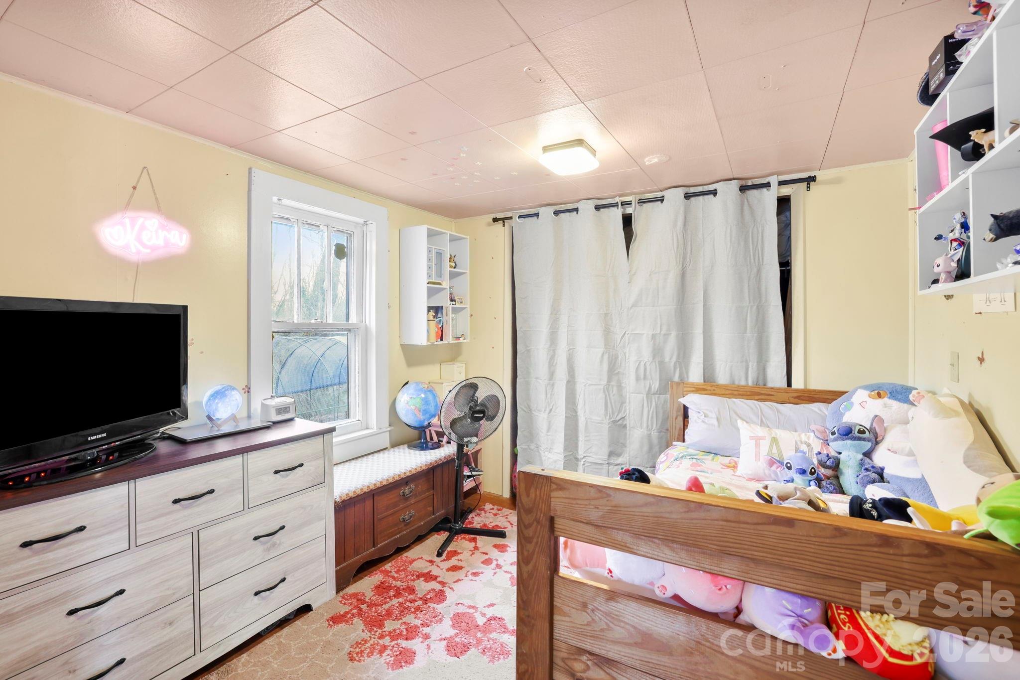 38 Pisgah View Road Asheville, NC 28806 - Photo 14 of 24 a bedroom with furniture and a flat screen tv