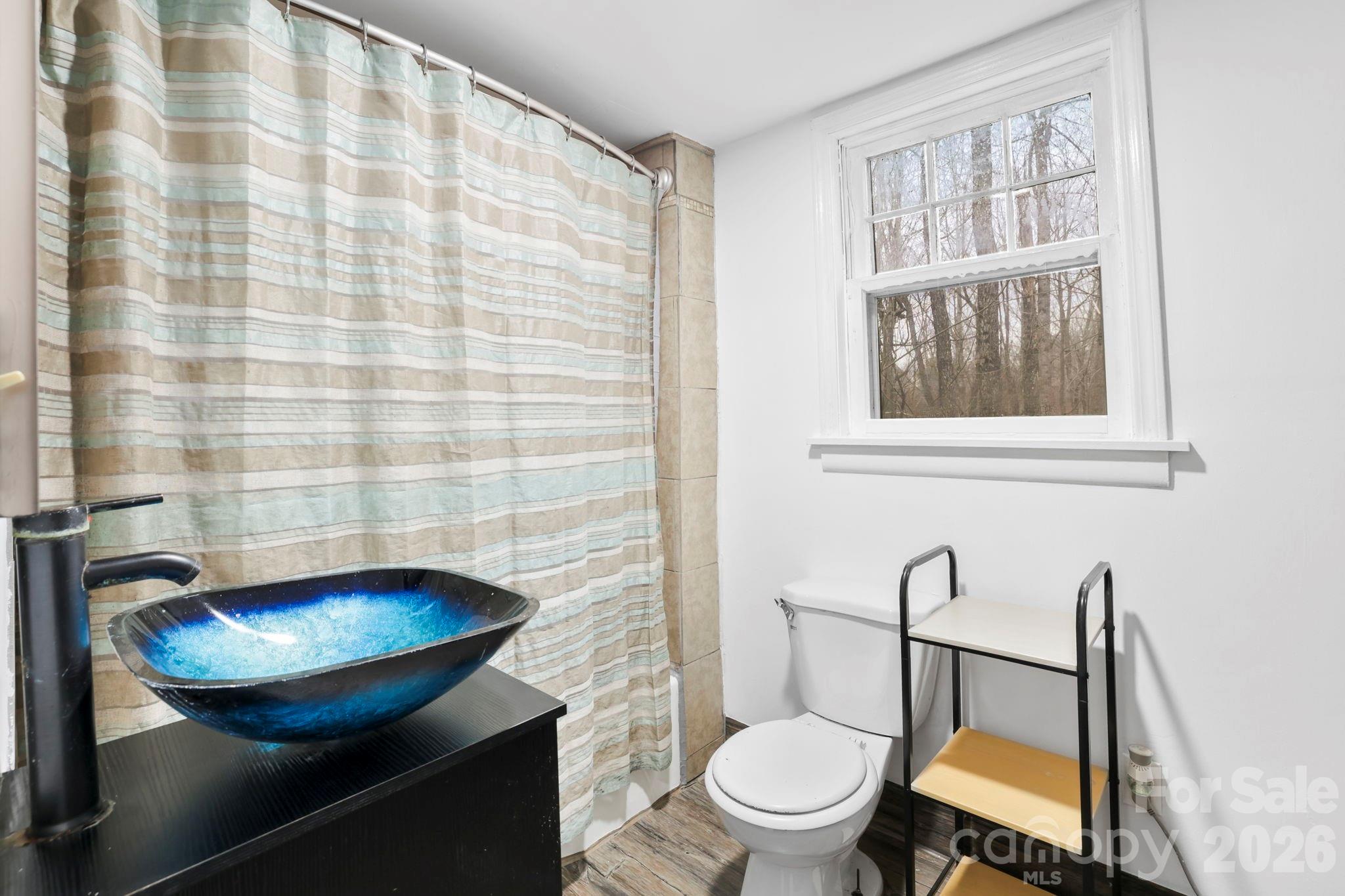 38 Pisgah View Road Asheville, NC 28806 - Photo 18 of 24 a bathroom with a toilet a sink and a mirror