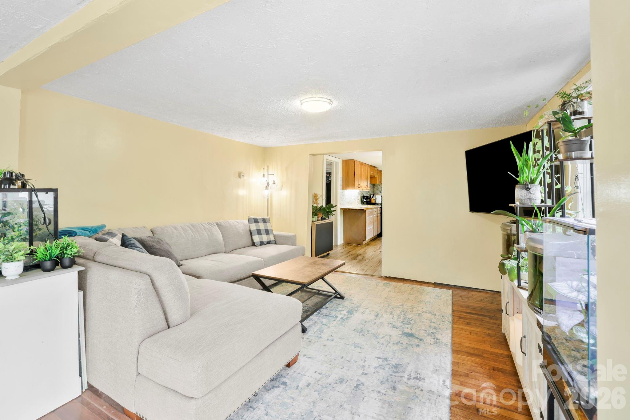 38 Pisgah View Road Asheville, NC 28806 - Photo 3 of 24 a living room with furniture and a flat screen tv