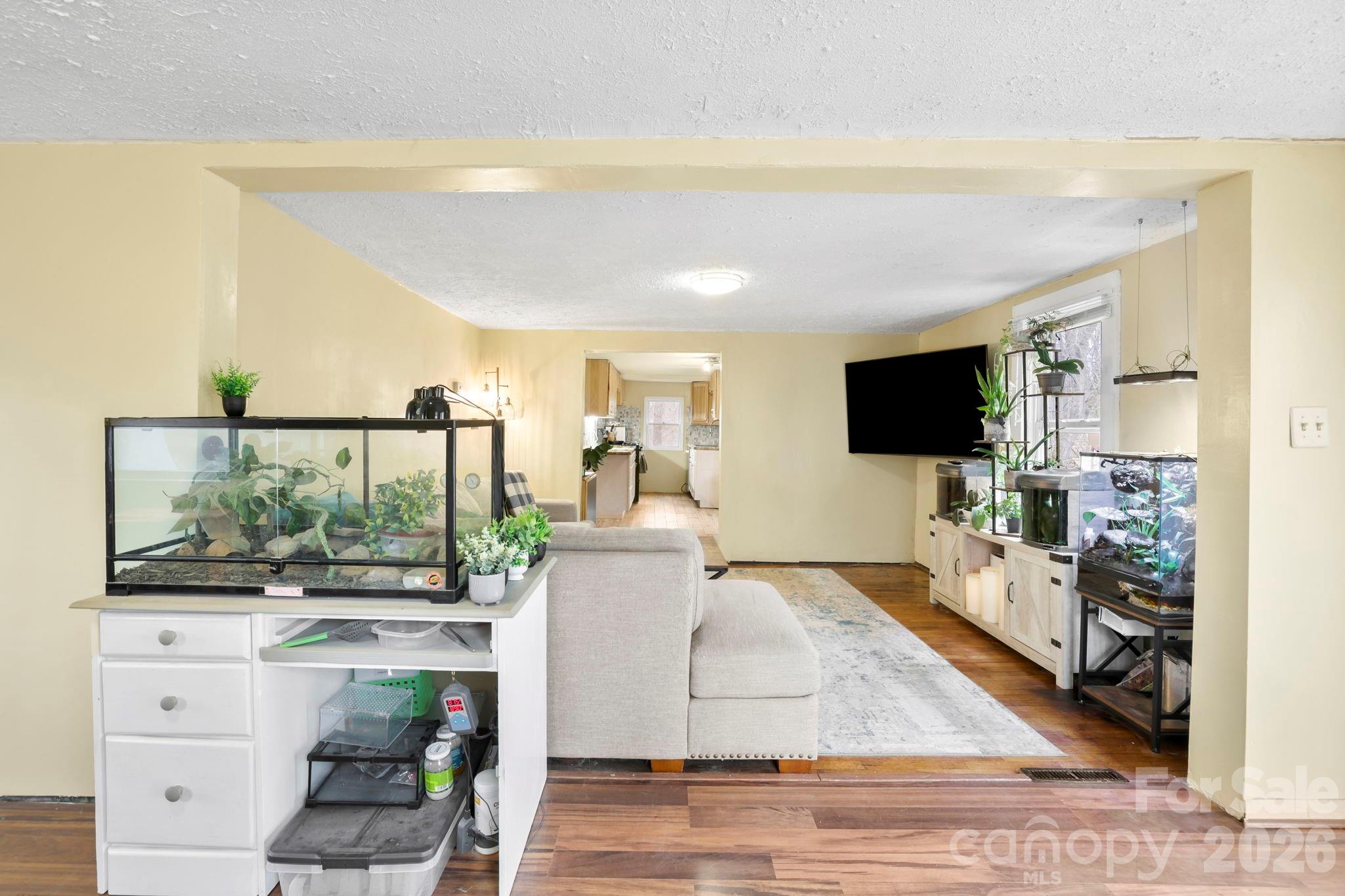 38 Pisgah View Road Asheville, NC 28806 - Photo 6 of 24 a living room with furniture and a flat screen tv