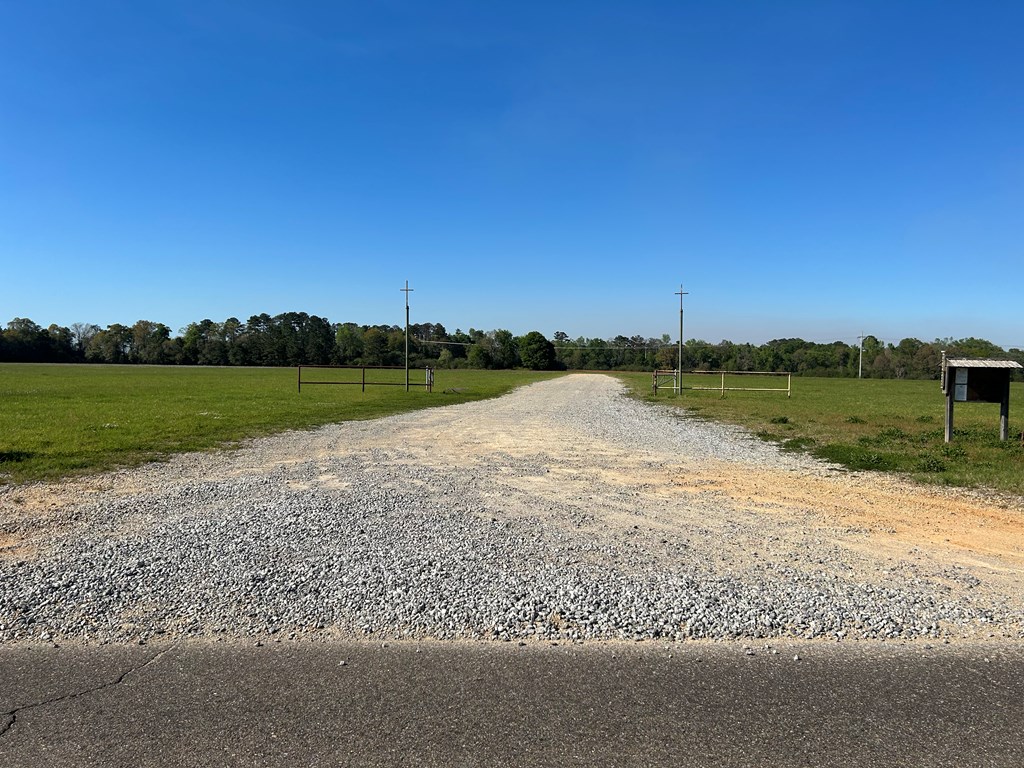 54.28-ac Webb Road Dothan, AL 36301 - Photo 49 of 57