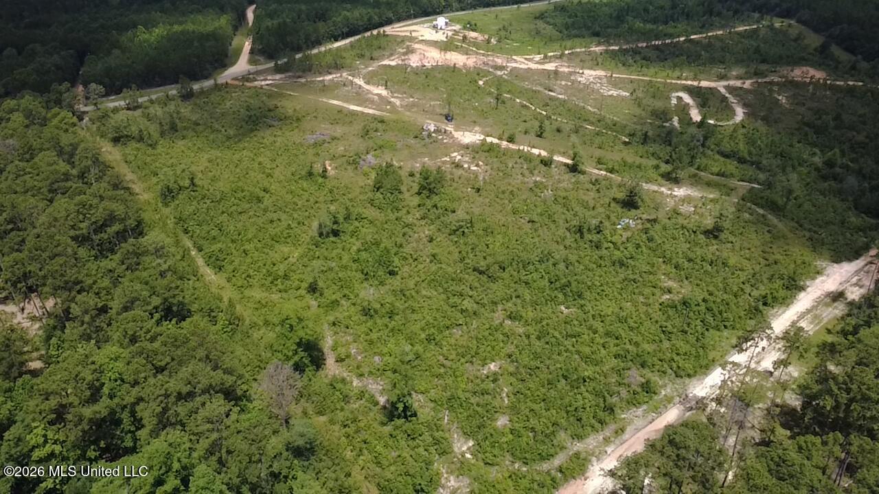 196 South County Line Road Lumberton, MS 39455 - Photo 2 of 18 SLZK8045