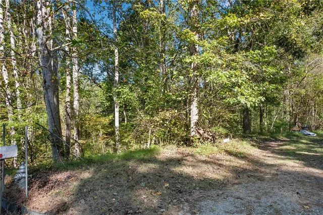 a view of forest with trees