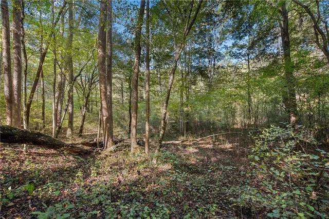 a view of outdoor space and trees