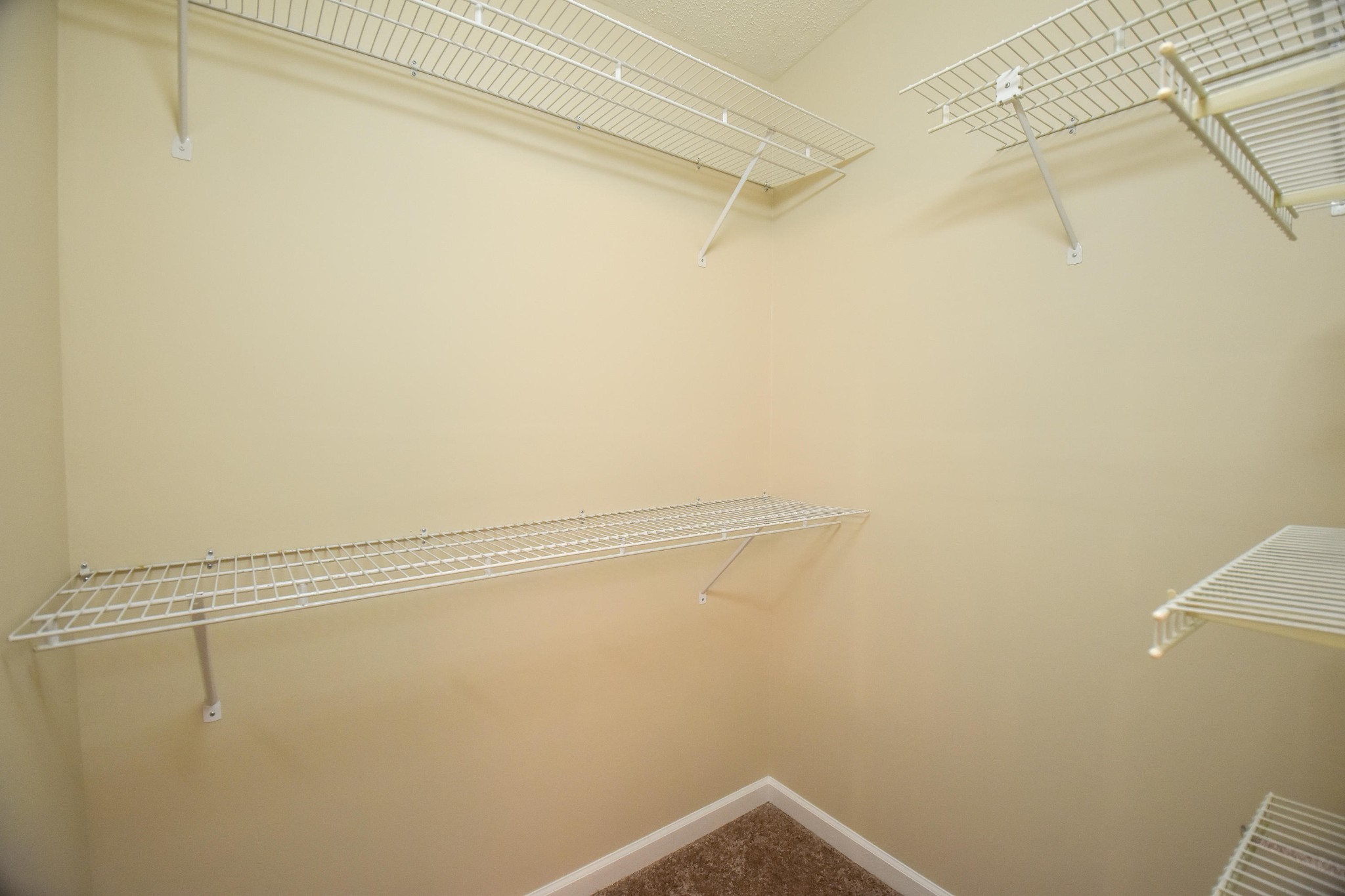 117 Ellis Road Kingston, TN 37763 - Photo 19 of 24 Gallery Image 19