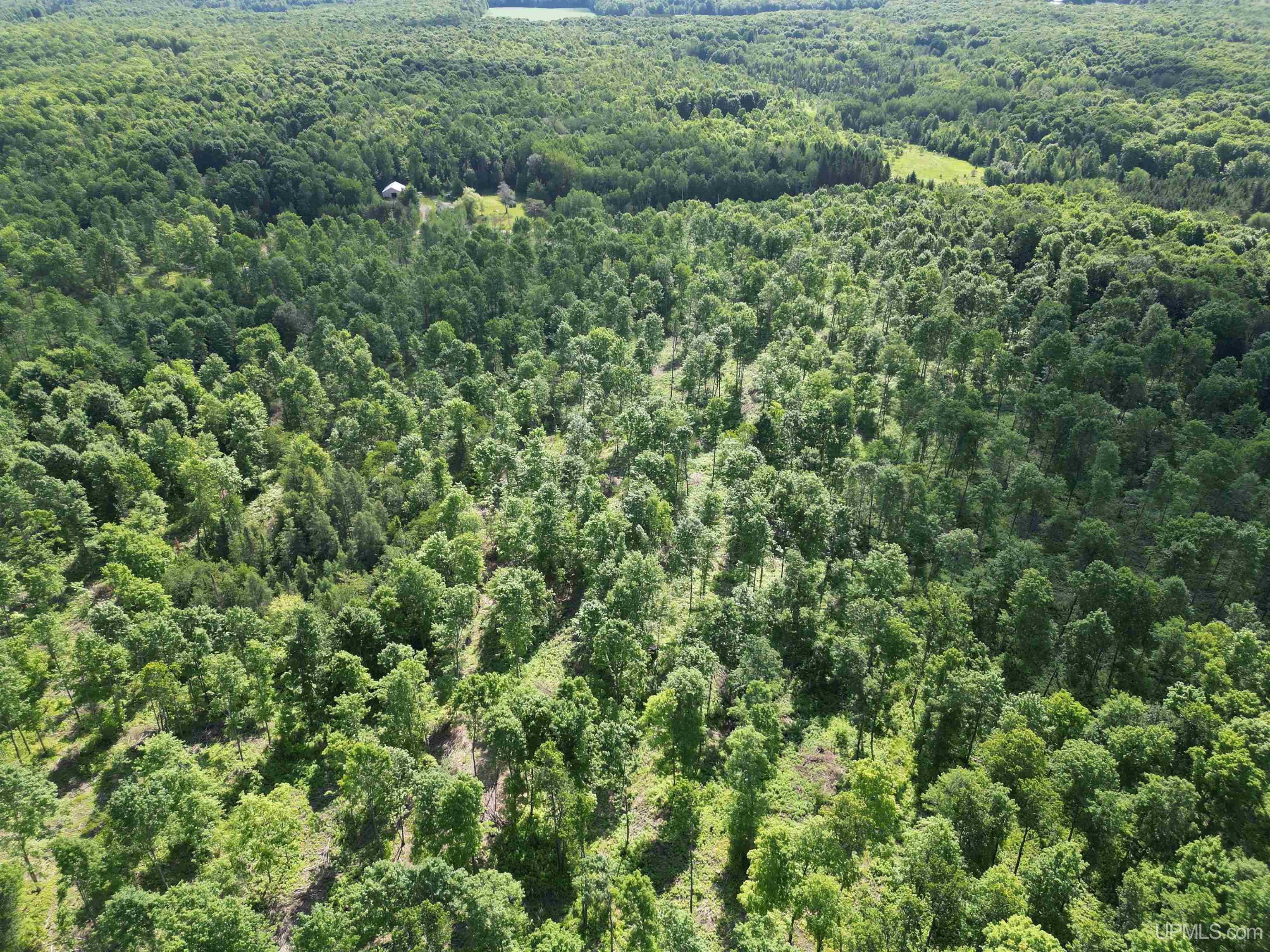 Tbd North County Line Road Sagola, MI 49920 - Photo 35 of 46 Gallery Image 35