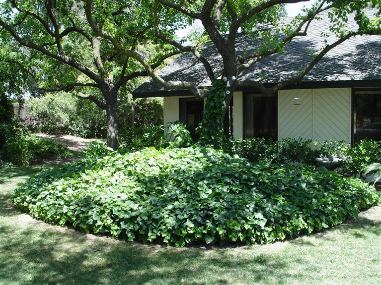 16291 La Canada Road Madera, CA 93636 - Photo 5 of 23 Gallery Image 5
