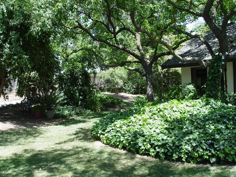 16291 La Canada Road Madera, CA 93636 - Photo 6 of 23 Gallery Image 6