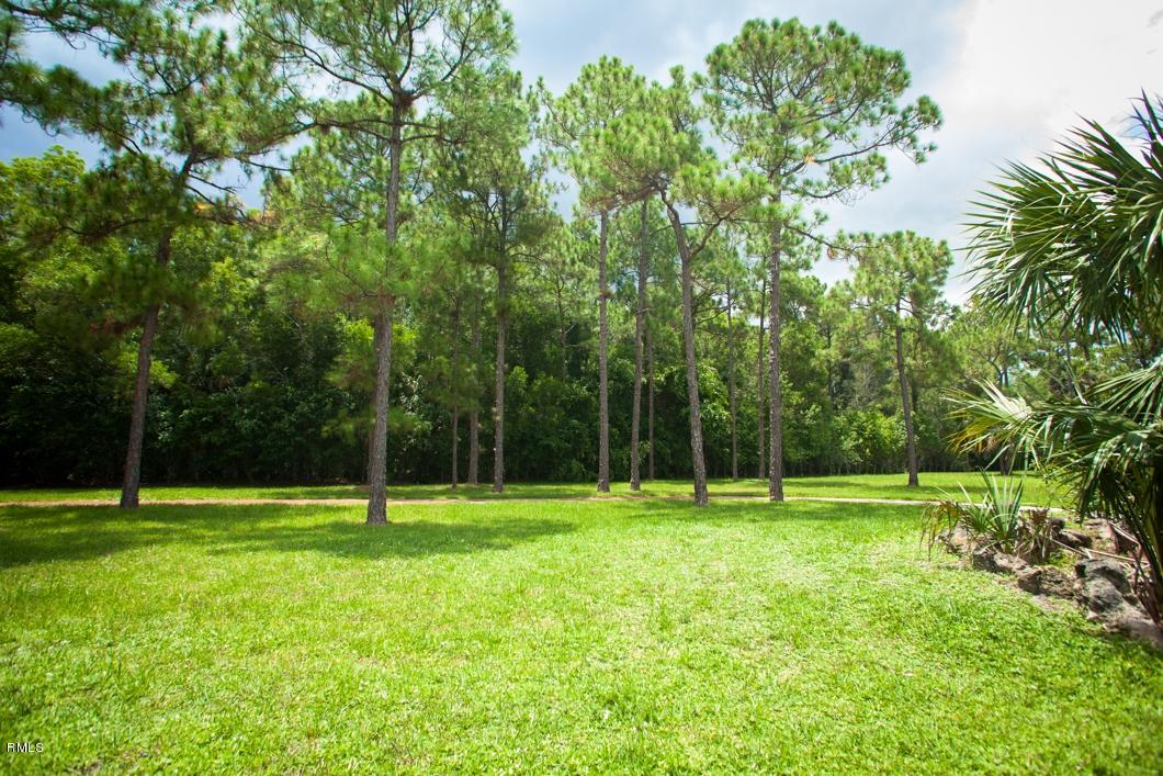 1640 E Road Loxahatchee, FL 33470 - Photo 4 of 37 estreet-503