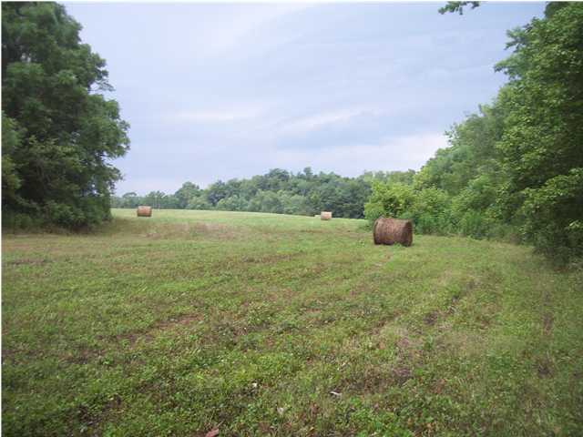 245 Huffman Road, Unit 3 4 Harrodsburg, KY 40330 - Photo 4 of 13 Additional Photo
