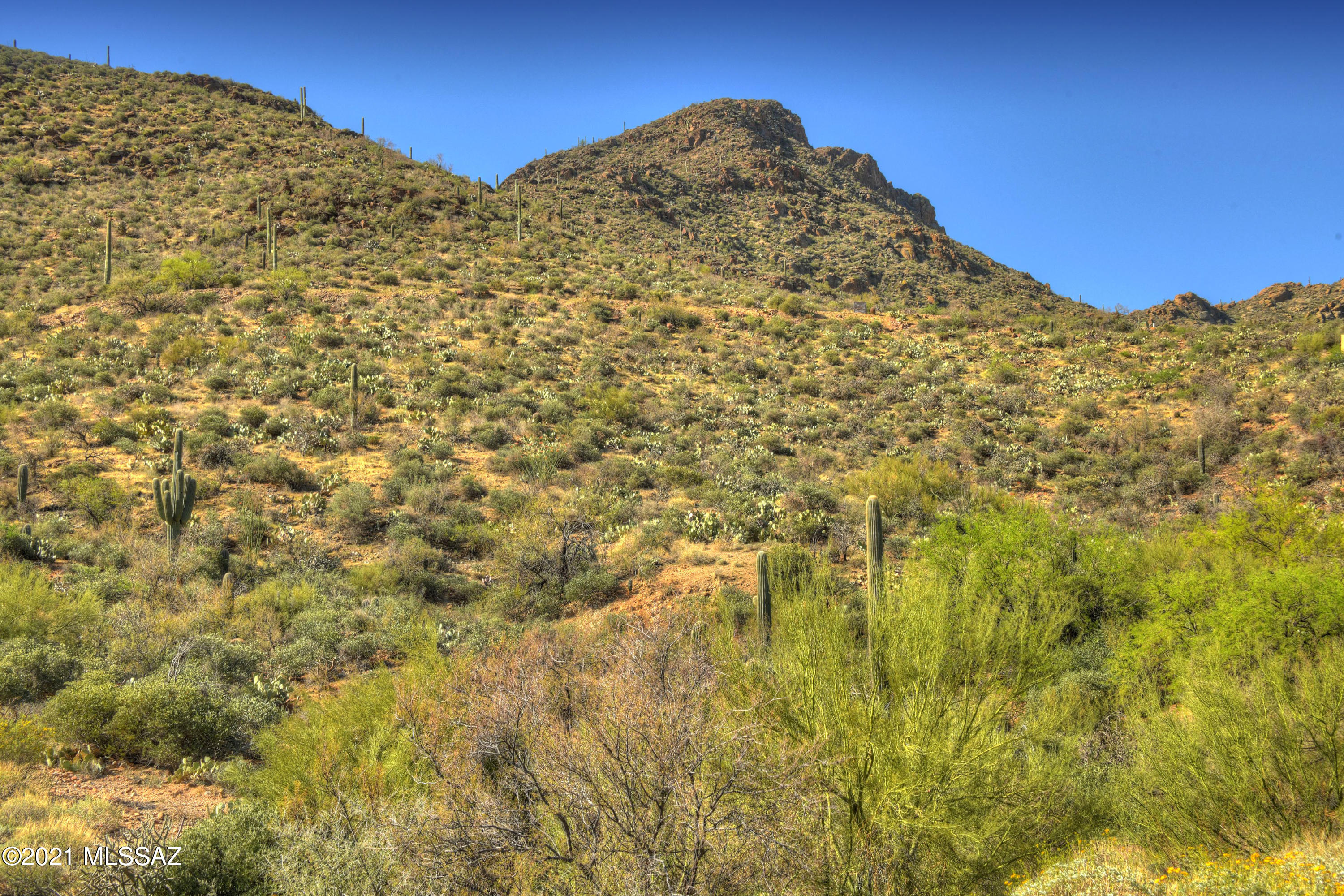 6241 West Trails End Road, Unit 17 Tucson, AZ 85745 - Photo 20 of 24