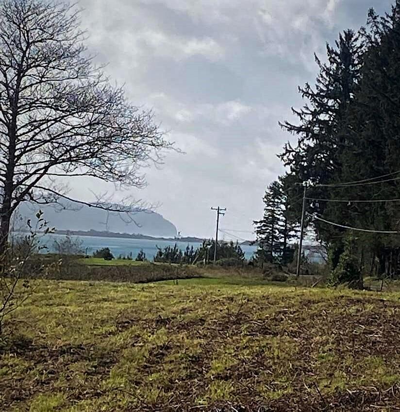 Lot 101 Whiskey Creek Road Tillamook, OR 97141 - Photo 1 of 12 1