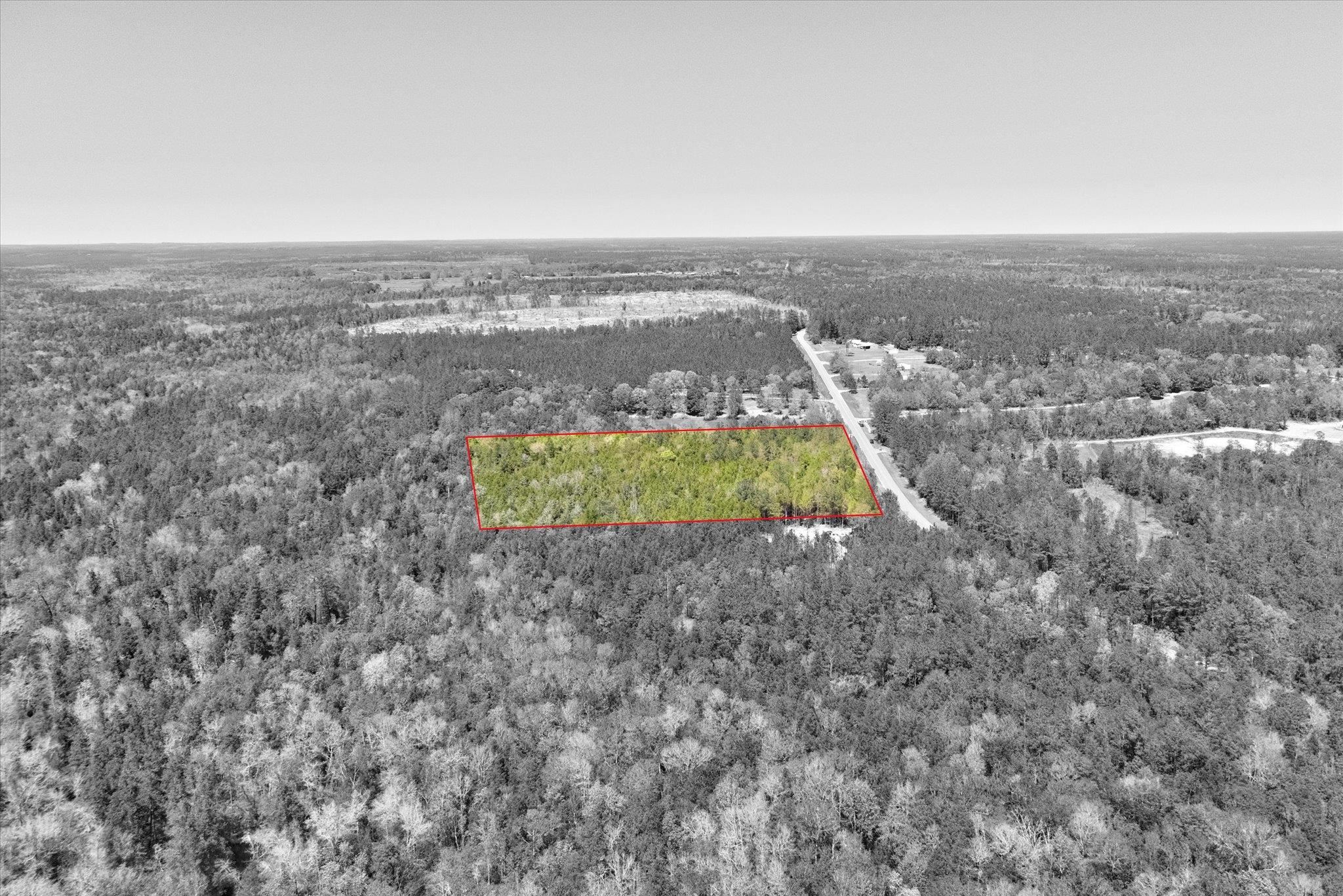 44772 Phillipsville Road Bay Minette, AL 36507 - Photo 6 of 15