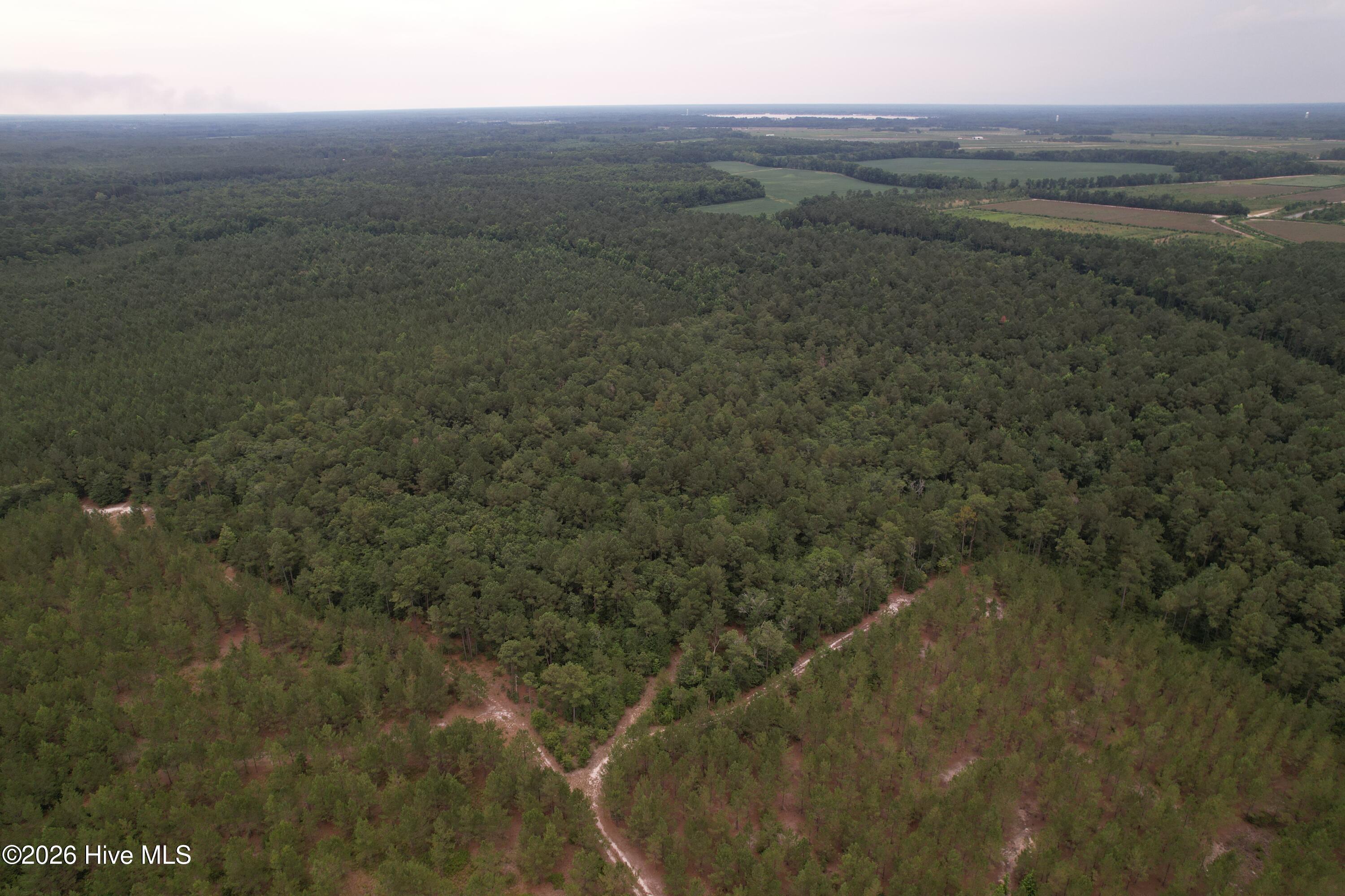 0 Autrytown Road Elizabethtown, NC 28337 - Photo 12 of 51 Gallery Image 12