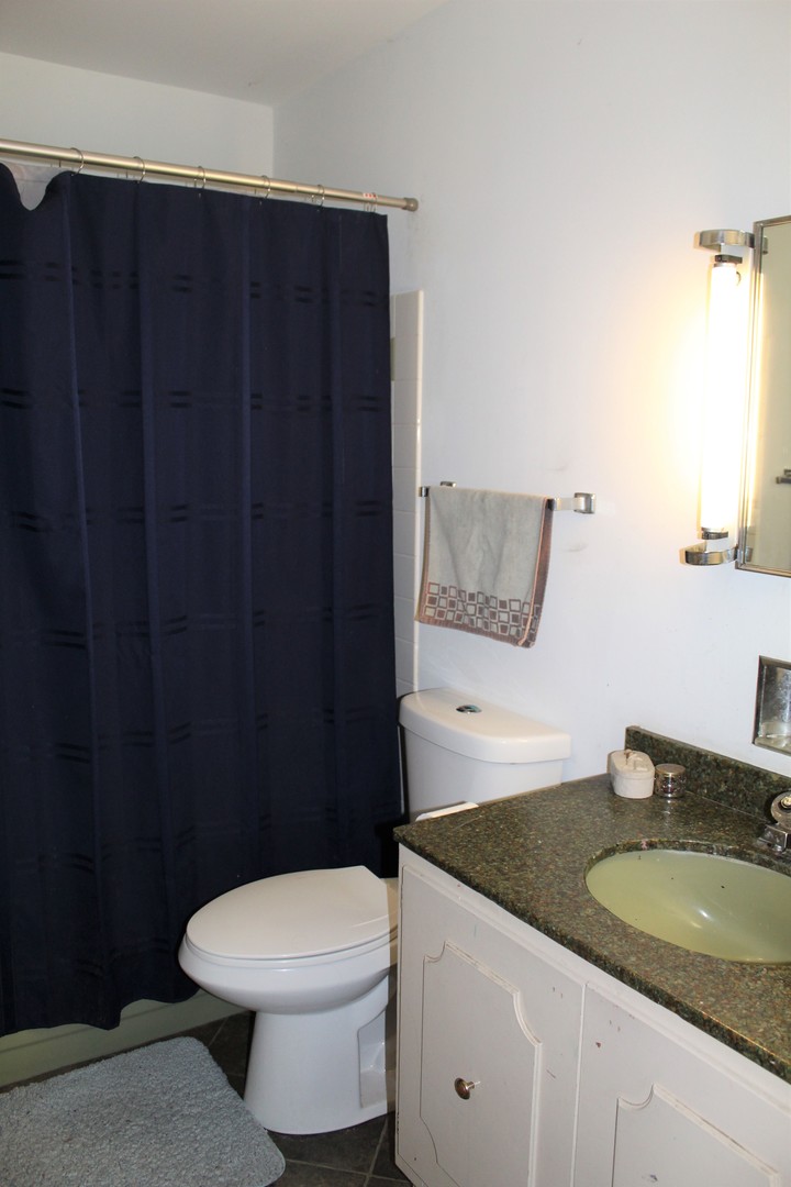 414 Northgate Road Lindenhurst, IL 60046 - Photo 16 of 22 a bathroom with a granite countertop toilet and a sink