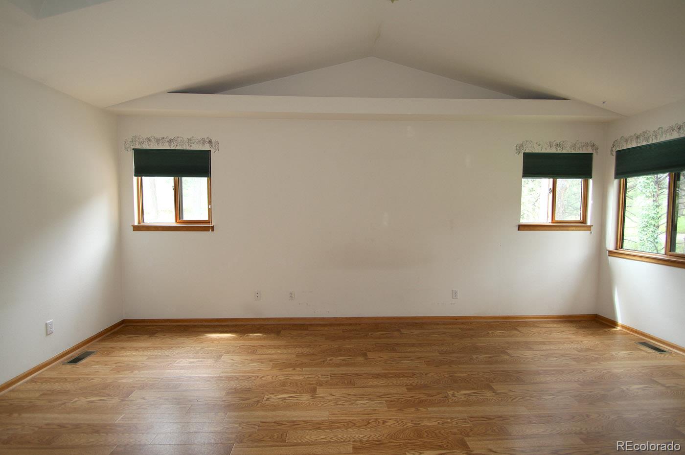 30073 Spruce Road Evergreen, CO 80439 - Photo 11 of 18 Gallery Image 11
