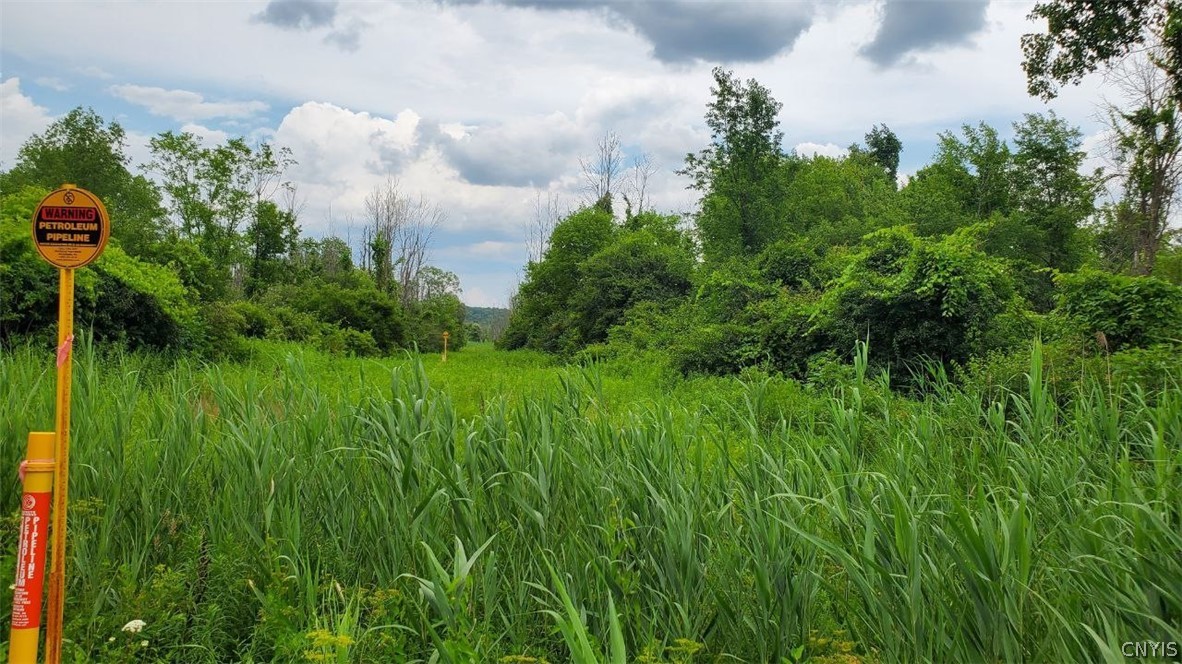 0 Herman Road Warners, NY 13164 - Photo 8 of 12