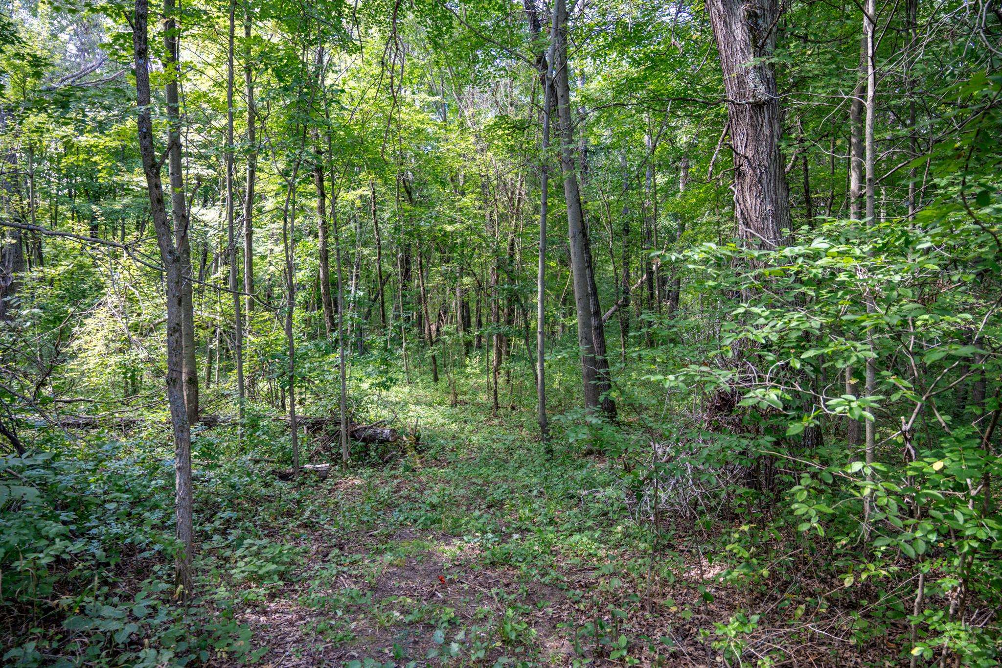 W5878 Wilson Lane Necedah, WI 54646 - Photo 36 of 36
